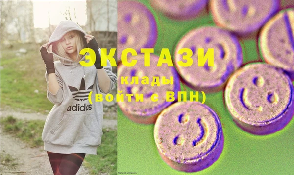 ECSTASY Богородицк