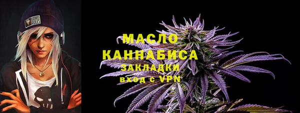 ECSTASY Богородицк